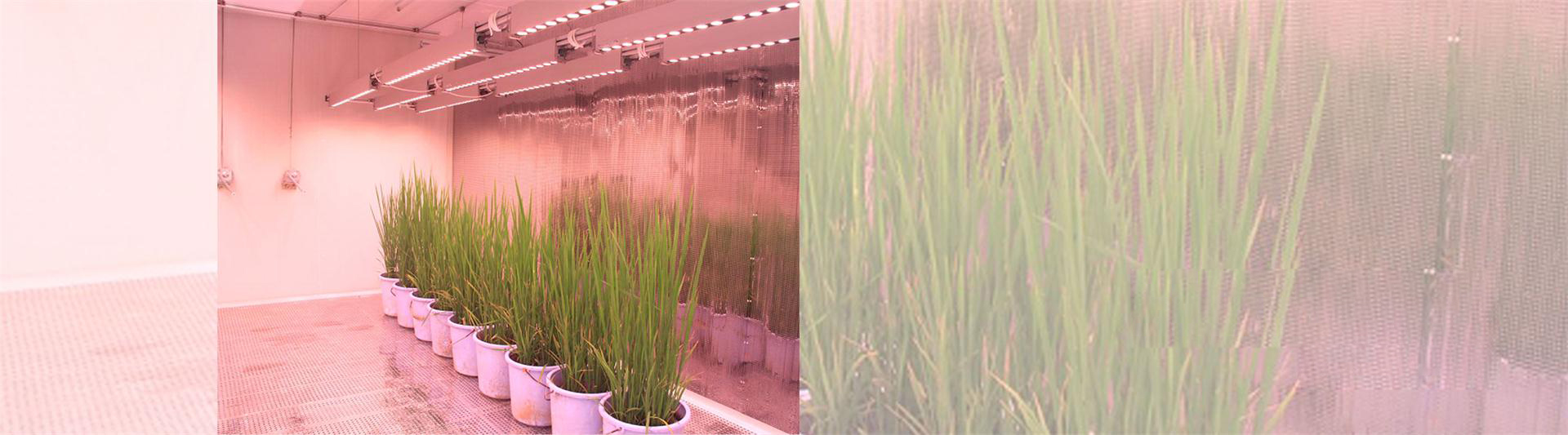 人工模擬環境的整體解決方案